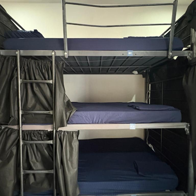 Casamaya Hostel & Diving - Cama individual en habitación compartida mixta - 2