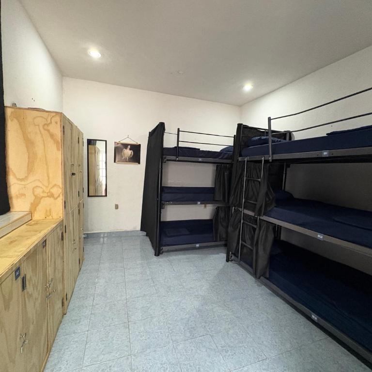 Casamaya Hostel & Diving - Cama individual en habitación compartida mixta - 3