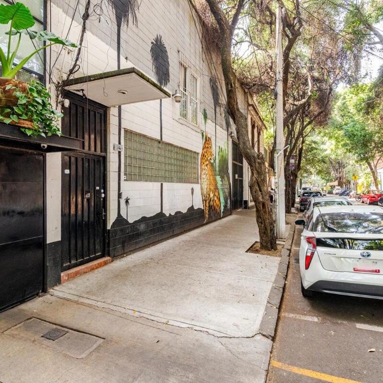 2 Bedroom Apartment - Roma Norte - Two-Room Apartment - 19
