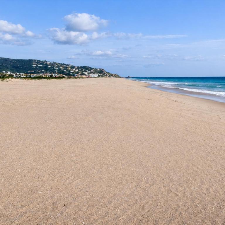 Oceanfront Duplex Penthouse, 2 terraces and pool - Apartamento - 7