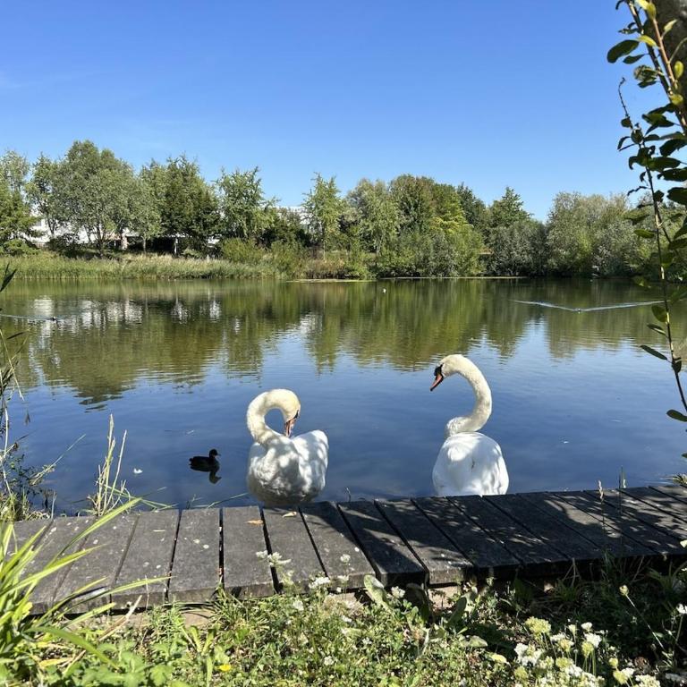 La Serrisienne 5 - Val d'Europe - Disneyland Paris - 6 à 8 Personnes - Apartamento de 3 dormitorios - 26