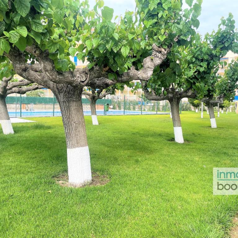 Beach Pineda 3 ,climatizado, piscina y playa - Three-Bedroom Apartment with View - 9
