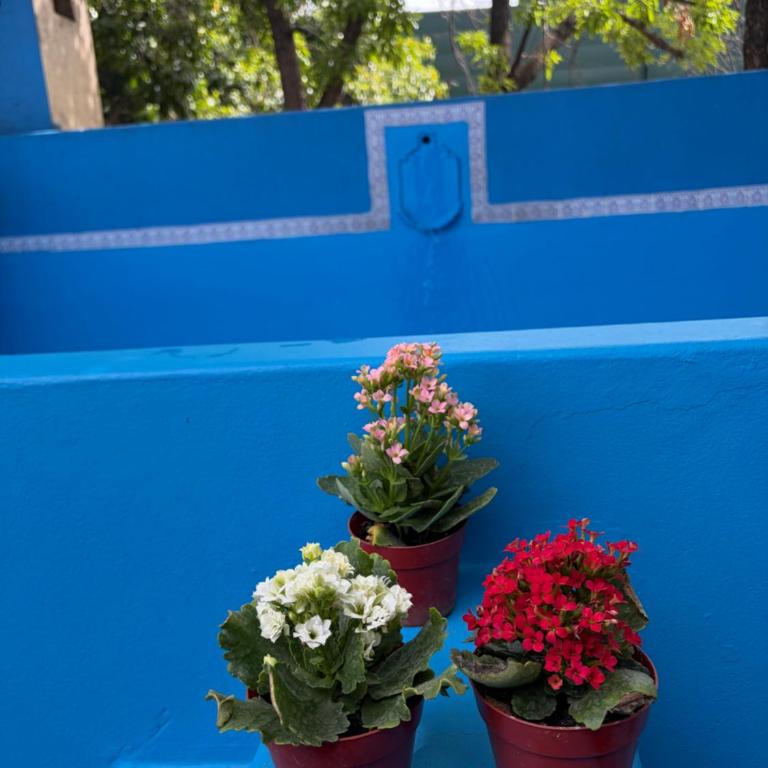 Casa Roma - Casa de 3 dormitorios - 2