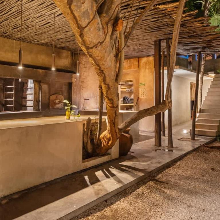 Tree House Tulum - Beach Access - Villa - Apartamento - 8