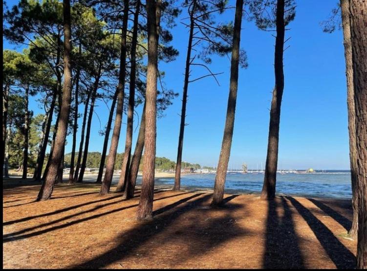 Villa rénovée au calme, piscine chauffée et jardin - Bisca - Villa - 18