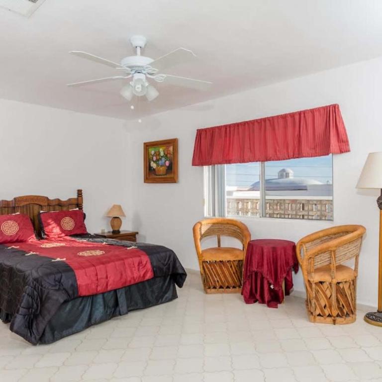 Recently Renovated Oceanview Home Casa Hebe - Apartamento - 12