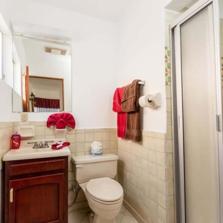 Recently Renovated Oceanview Home Casa Hebe - Apartamento - 19
