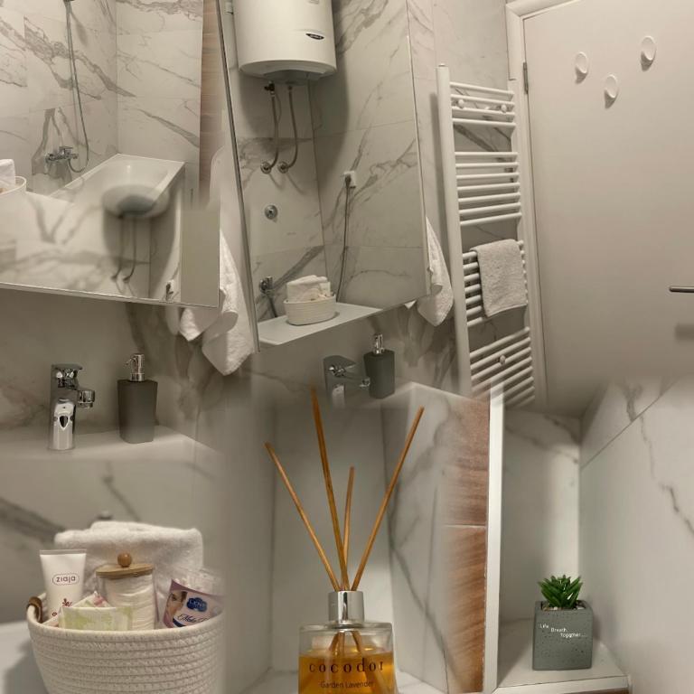 Apartman Savanovic sa garazom - Apartman sa 1 Spavaćom Sobom - 23
