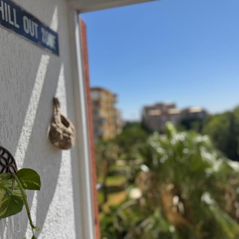 BeMar Apartment - Apartamento de 1 dormitorio - 2