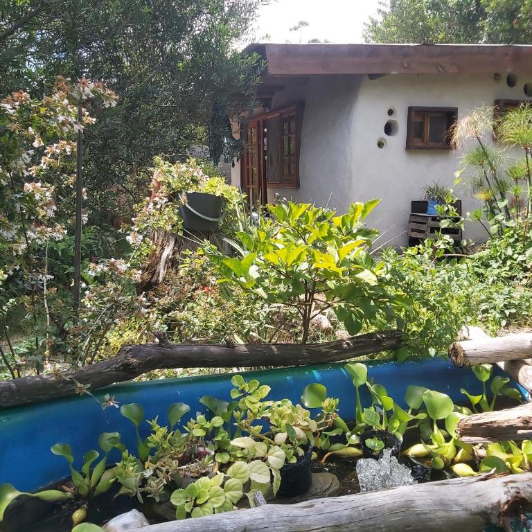 La Paloma Eco Casa cerca de la playa - Casa con 1 dormitorio - 5