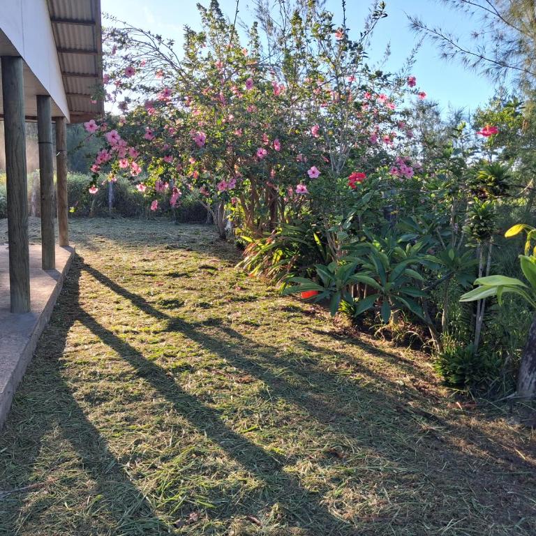 hare tamahei - Three-Bedroom House - 2