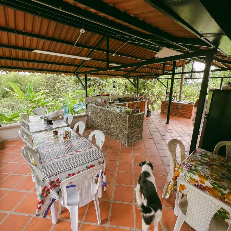 Villa Eulogia - Five-Bedroom House - 2