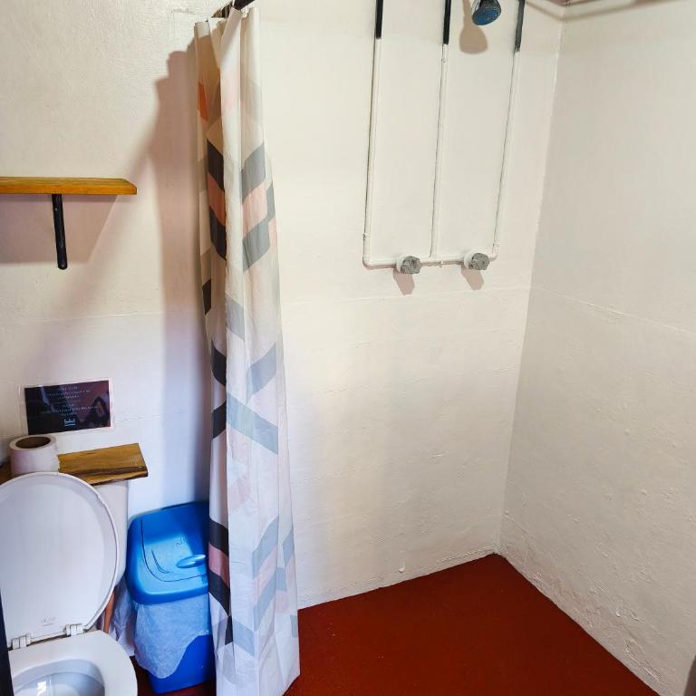 13 Cielos Hostel & Coworking - Bed in 4-Bed Female Dormitory Room - 13