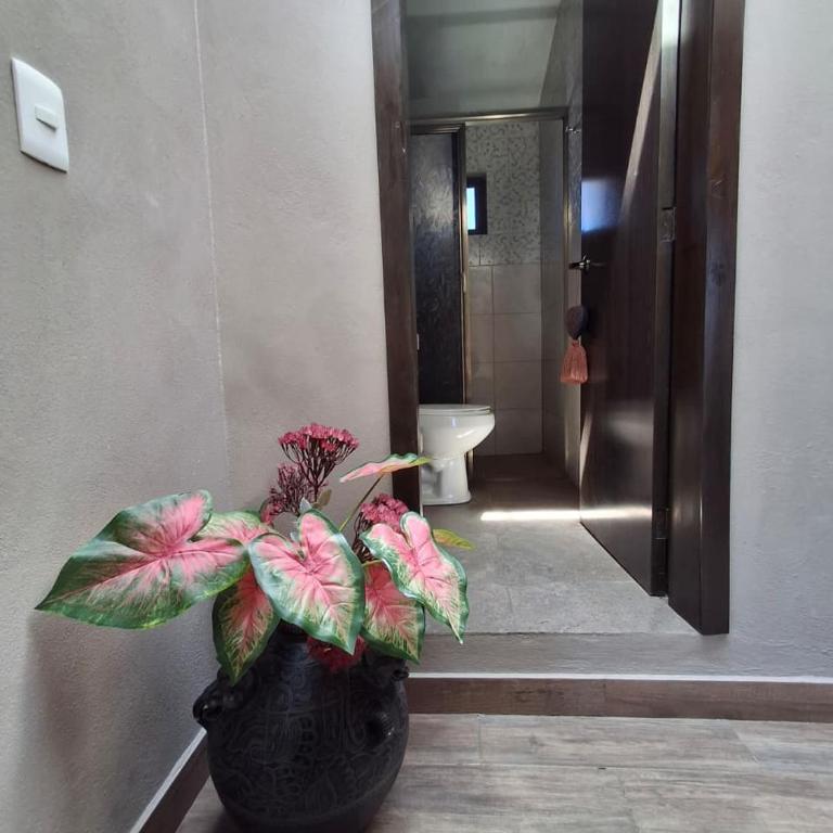 Departamento Olotmi - Two-Bedroom Apartment - 5