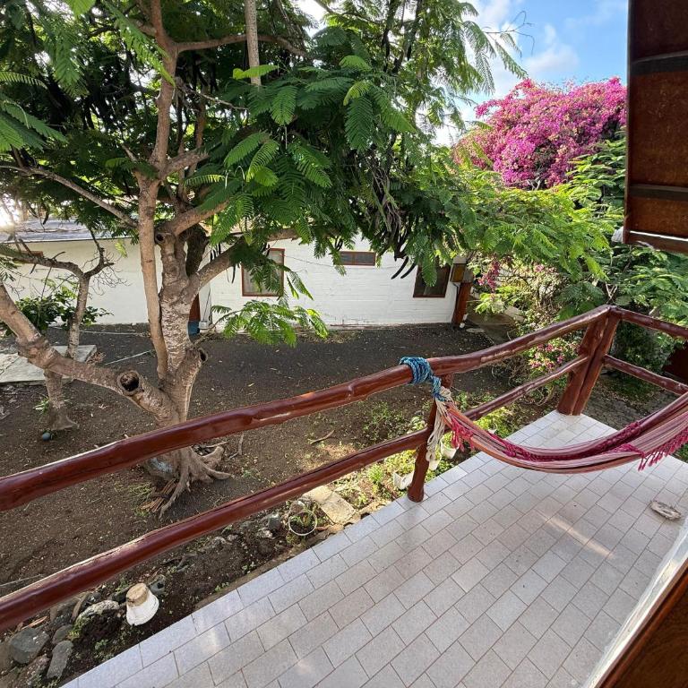 Hotel Witttmer - Economy Double Room - 4