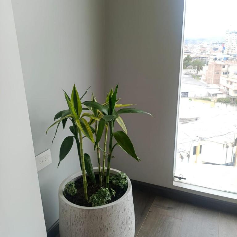 Luxurious Penthouse Loft - Two-Bedroom Apartment - 43