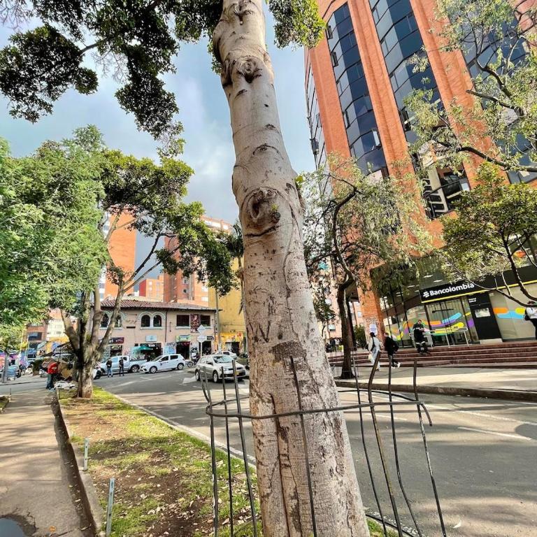 Chapinero Loft I Modern & Cozy Stay - One-Bedroom Apartment - 8