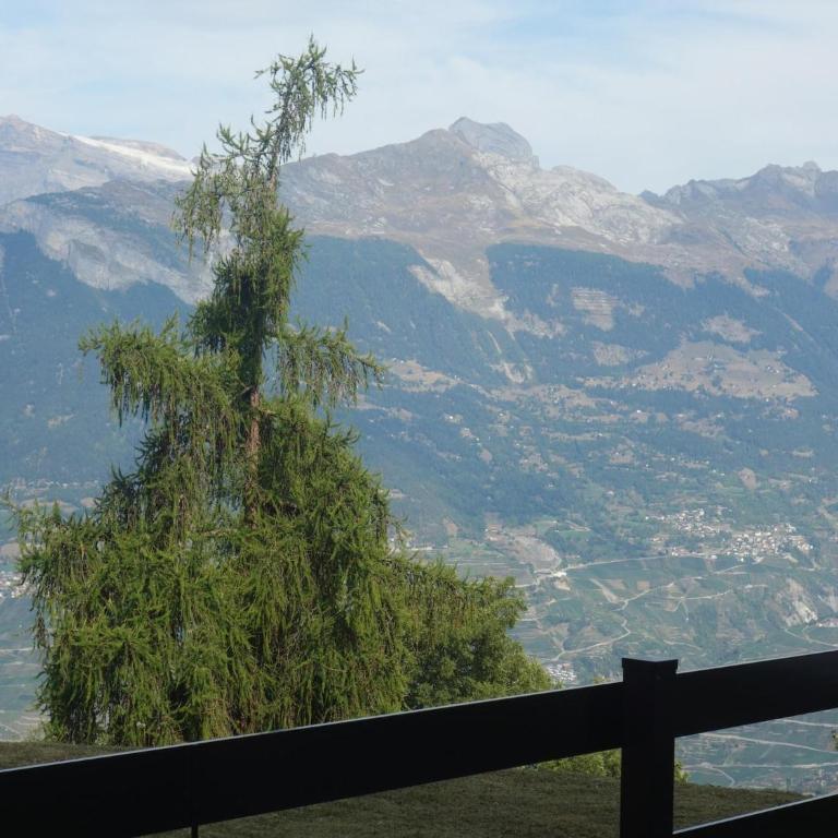 Cozy Apartment With Mountain Views - Apartment mit 3 Schlafzimmern - 6