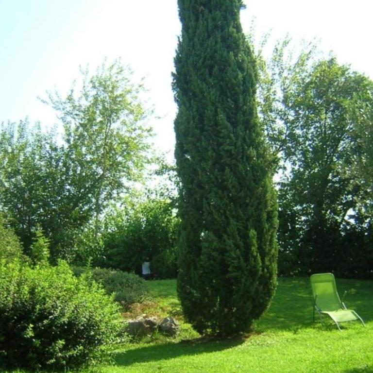 Cottage delle Scuderie - Casa con 2 Camere da Letto - 27