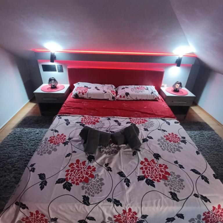 Leontina - Appartement 1 Chambre - 4
