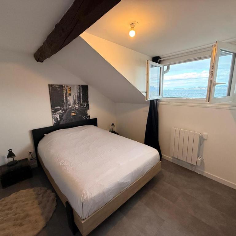 BORD DE LAC,2 chambres SUPERBE VUE LAC 5mn Evian - Appartement 2 Chambres - 25