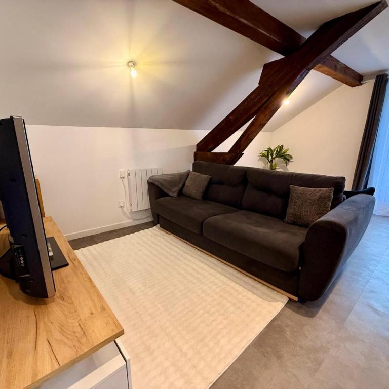 BORD DE LAC,2 chambres SUPERBE VUE LAC 5mn Evian - Appartement 2 Chambres - 12