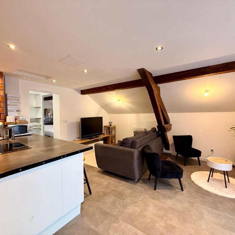 BORD DE LAC,2 chambres SUPERBE VUE LAC 5mn Evian - Appartement 2 Chambres - 16
