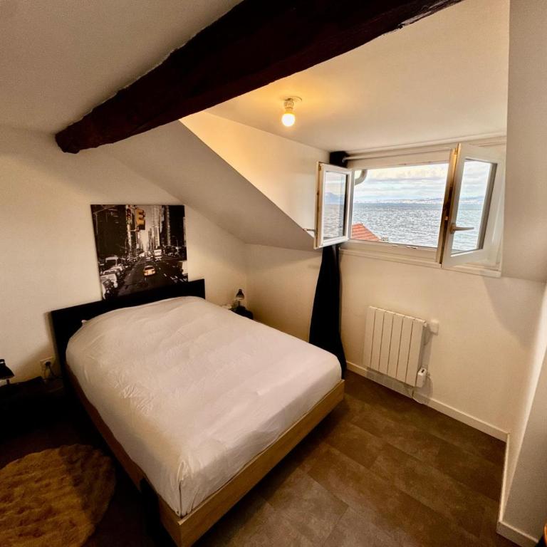 BORD DE LAC,2 chambres SUPERBE VUE LAC 5mn Evian - Appartement 2 Chambres - 17