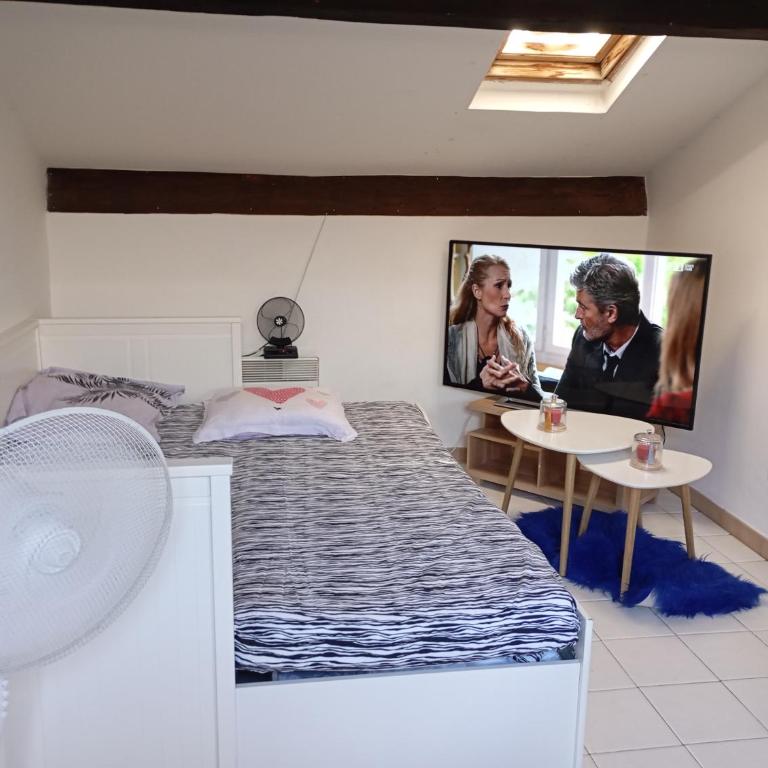 Appartement meublé 265 - Appartement 1 Chambre - 7