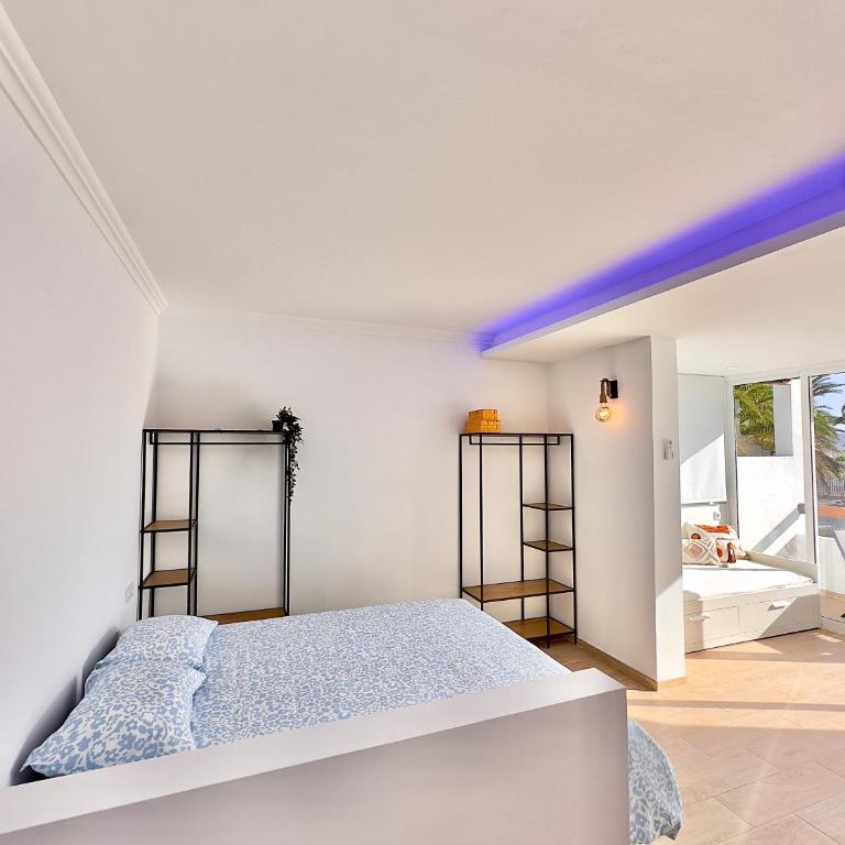 Bebo House 363 - Estudio con terraza - 35