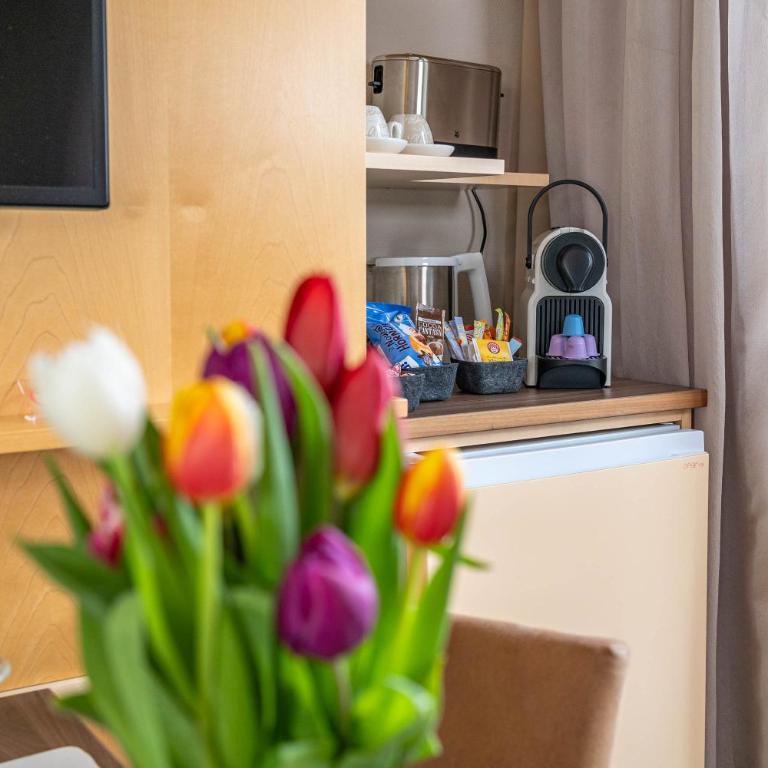 Apartment Hotel Schreier - Deluxe Doppelzimmer mit einem Balkon oder einer Terrasse - 30