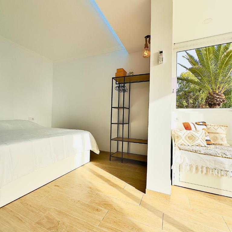 Bebo House 363 - Estudio con terraza - 34