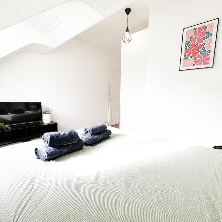 L'Orchidée Marine, T2, 100m plage et du commando - Appartement 1 Chambre - 20