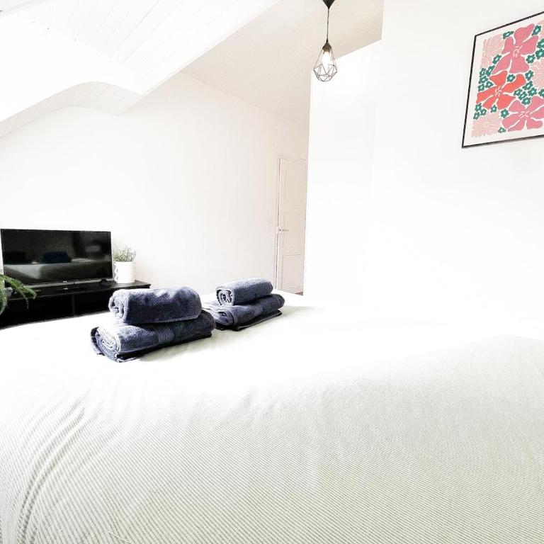 L'Orchidée Marine, T2, 100m plage et du commando - Appartement 1 Chambre - 17
