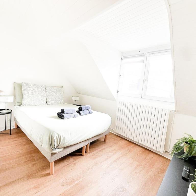 L'Orchidée Marine, T2, 100m plage et du commando - Appartement 1 Chambre - 19