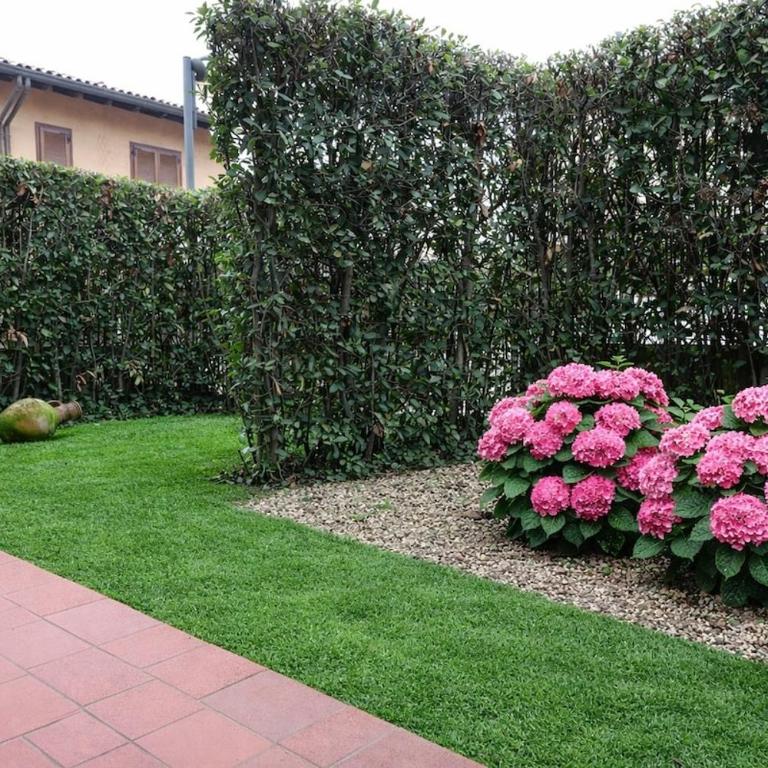 Casa Nido tra gli Ulivi - Appartamento Familiare con 2 Camere da Letto - 17