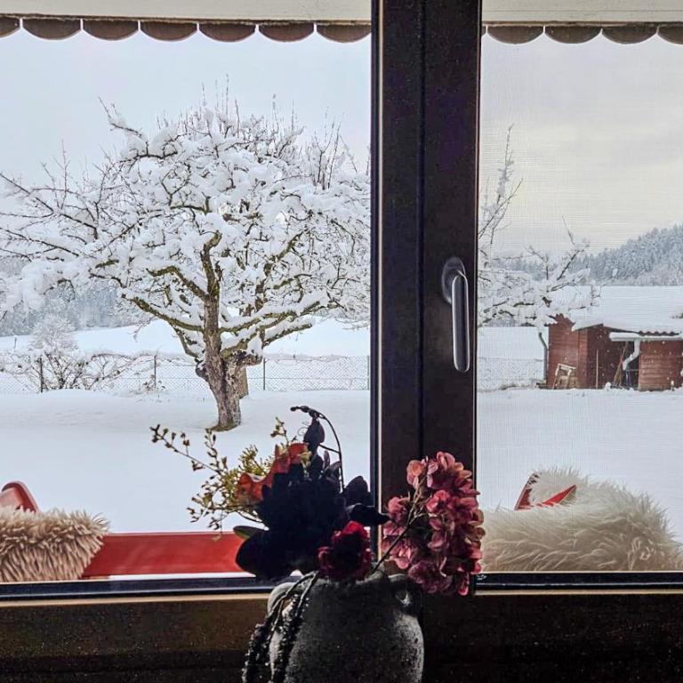 Einfach bei uns - Apartment mit 1 Schlafzimmer - 48