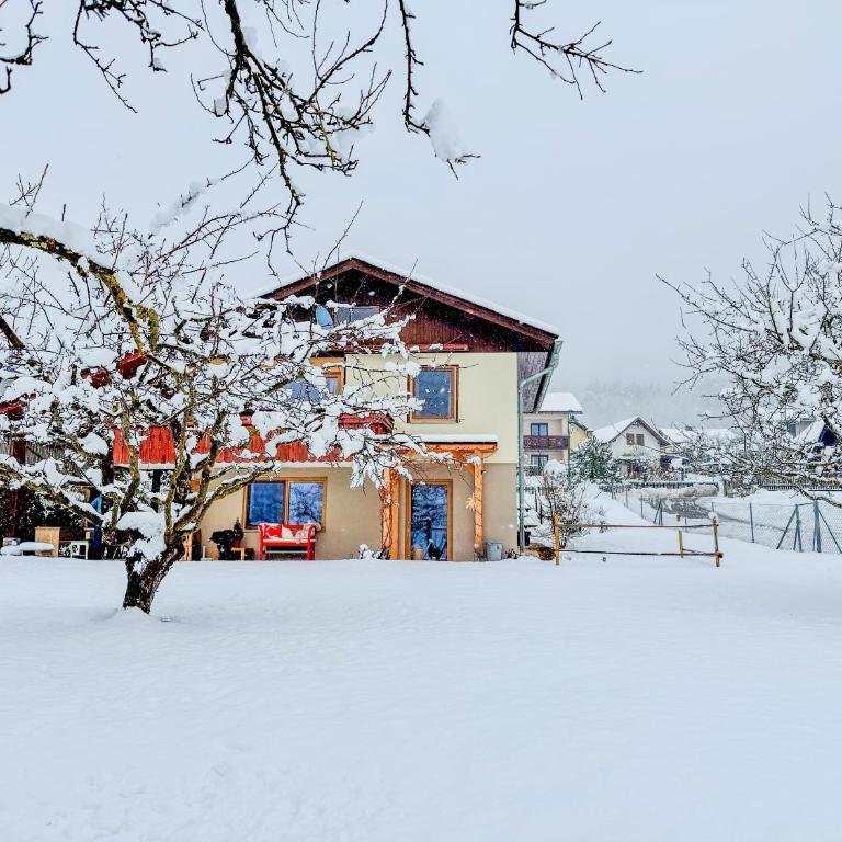 Einfach bei uns - Apartment mit 1 Schlafzimmer - 44