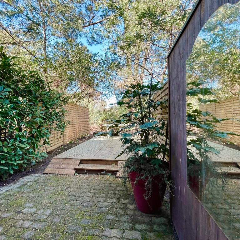 Duplex dans les pins - Appartement 2 Chambres - 1