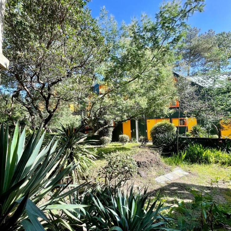 Duplex dans les pins - Appartement 2 Chambres - 6