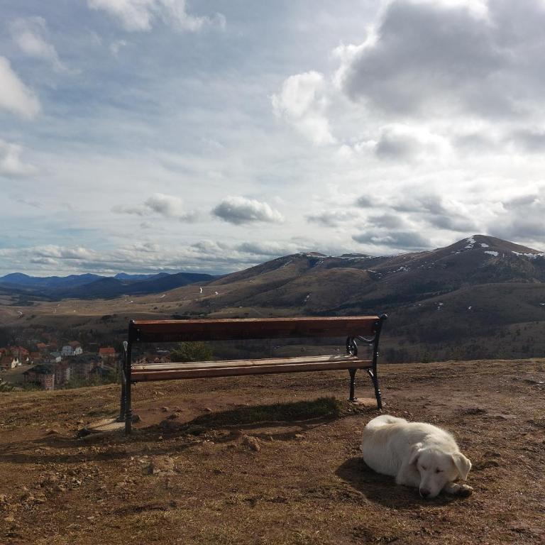 Apartman Čista ljubav Zlatibor - One-Bedroom Apartment - 26