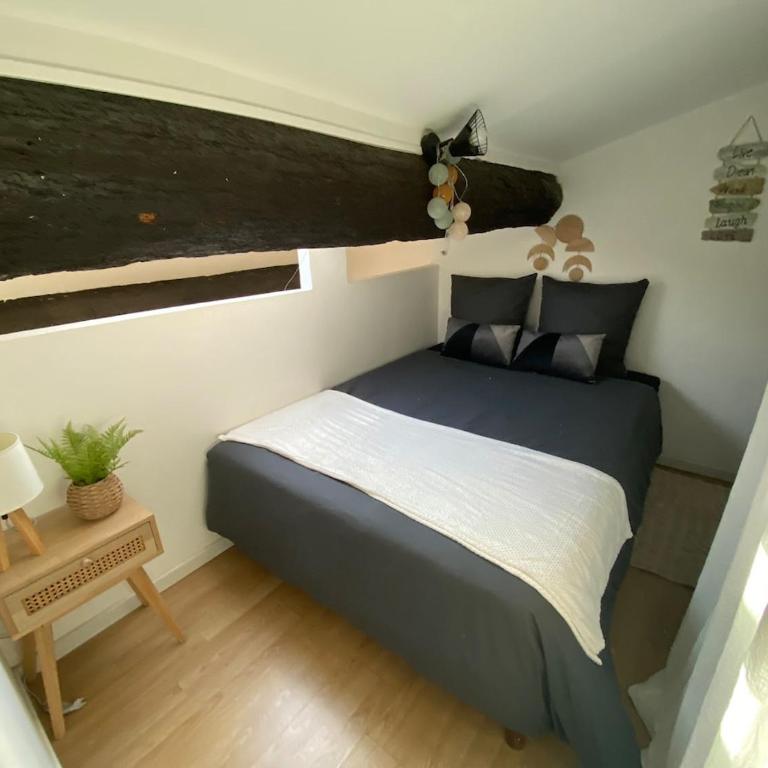 Studio Cosy Montpellier - Apartment mit 2 Schlafzimmern - 15