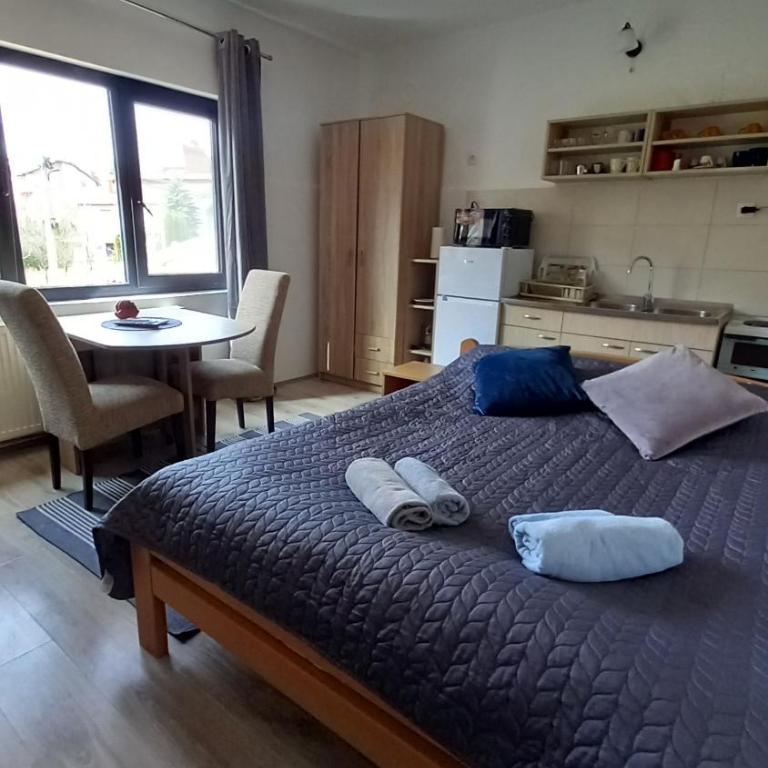 Studio Sanja Knez - Studio Apartman - 10
