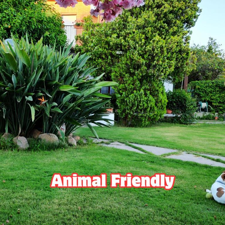 200m From the Sea, Villa with Garden, Pet Friendly - Villa con 3 Camere da Letto - 32