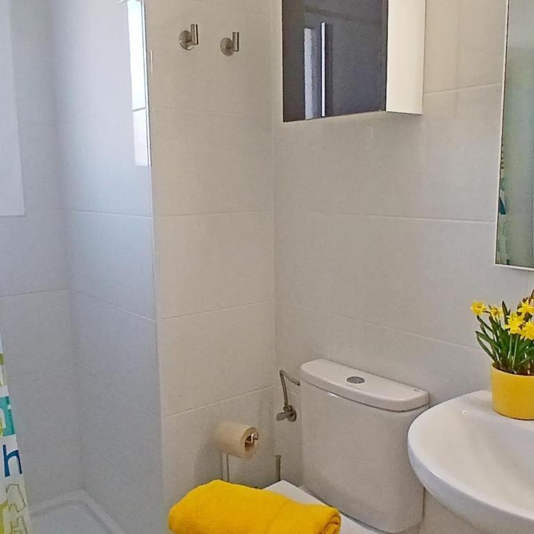 OLENA - Apartamento - 15