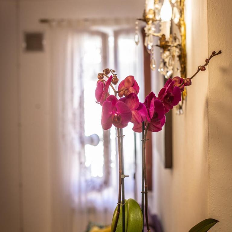 Lovely apartment in Via della Scala, Trastevere - Appartamento con 1 Camera da Letto - 11