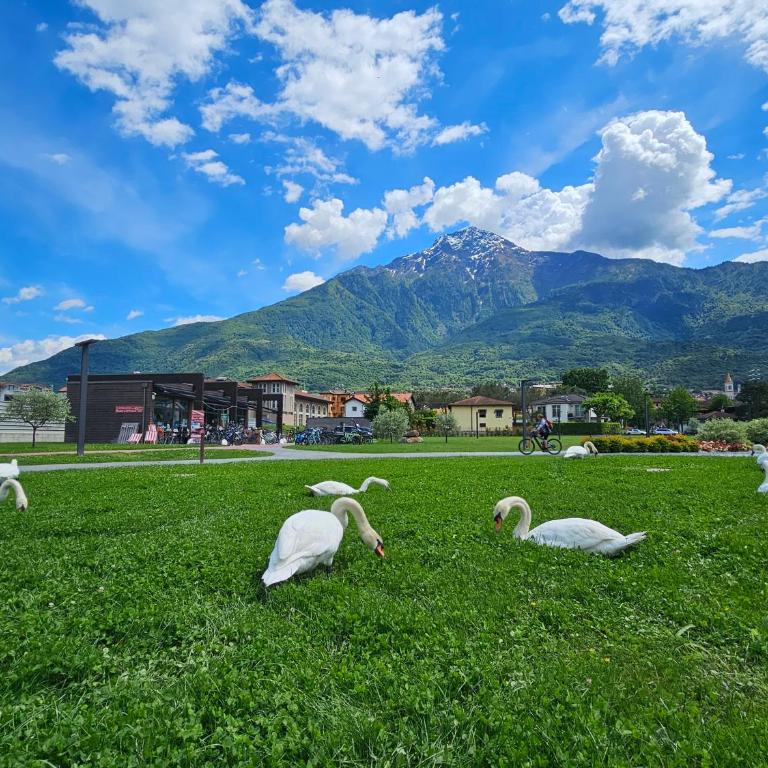 Villa Lago Foreground Lakefront Beach Bike&Boat& Scooter Lake Como - Appartamento con 3 Camere da Letto - 39