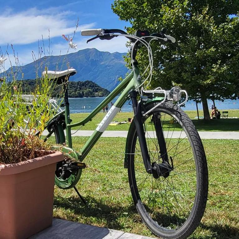 Villa Lago Foreground Lakefront Beach Bike&Boat& Scooter Lake Como - Appartamento con 3 Camere da Letto - 66