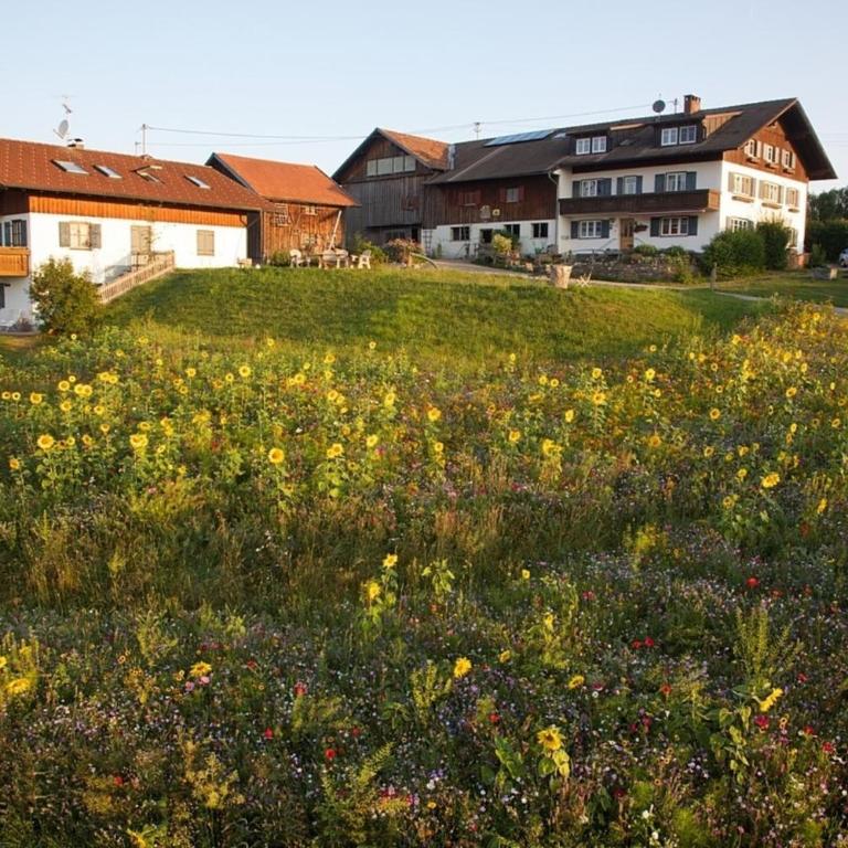 Ferienwohnung Panoramablick , Hof Alpenseeblick, NesselwangAttleseeAllgäu - Apartment - 6