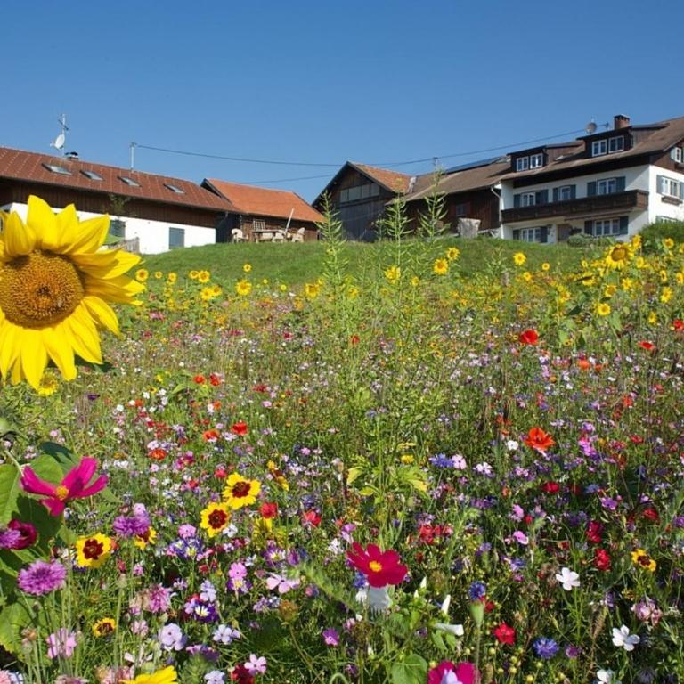 Ferienwohnung Panoramablick , Hof Alpenseeblick, NesselwangAttleseeAllgäu - Apartment - 8